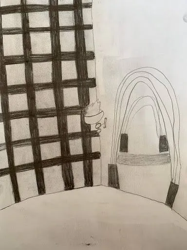 Image posted by the member