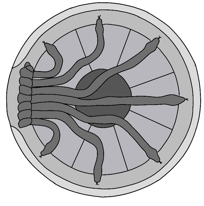 Image posted by the member
