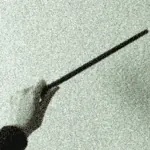 Image posted by the member