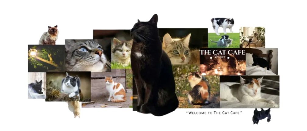 Image posted by the member