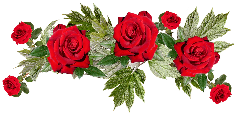 Image posted by the member