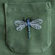 Image posted by the member