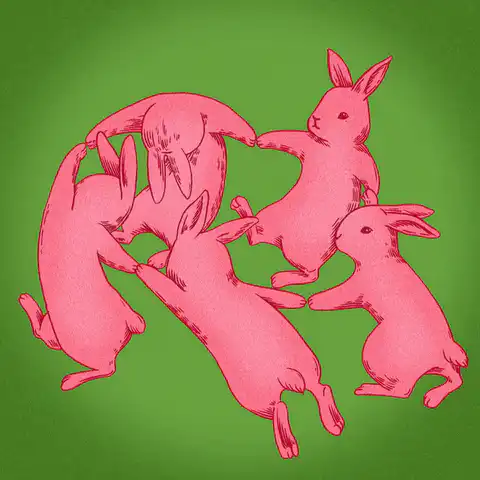 Image posted by the member