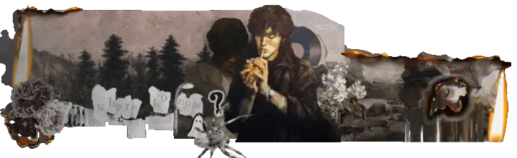 Image posted by the member