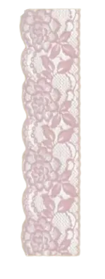 Image posted by the member