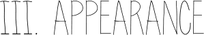 Image posted by the member