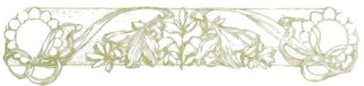 Image posted by the member