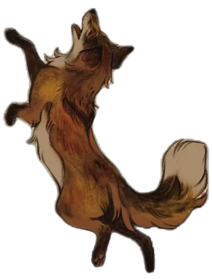 fox