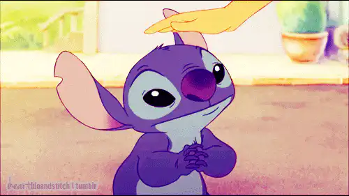 Image posted by the member