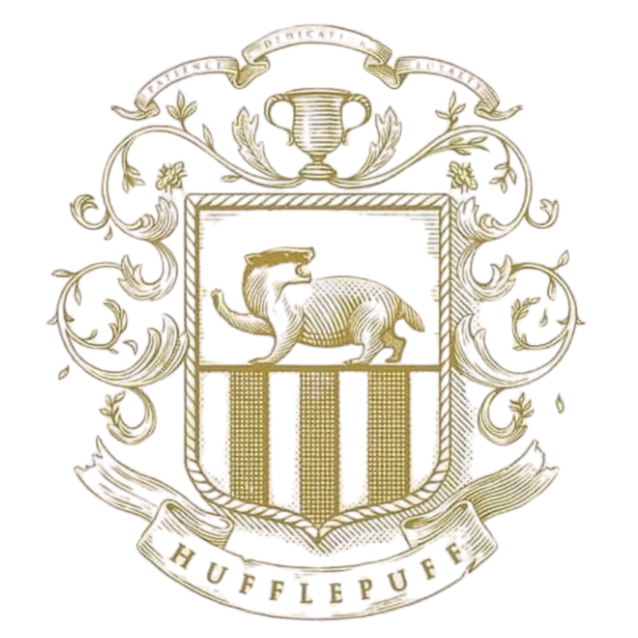Image posted by the member
