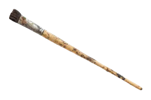 Image posted by the member
