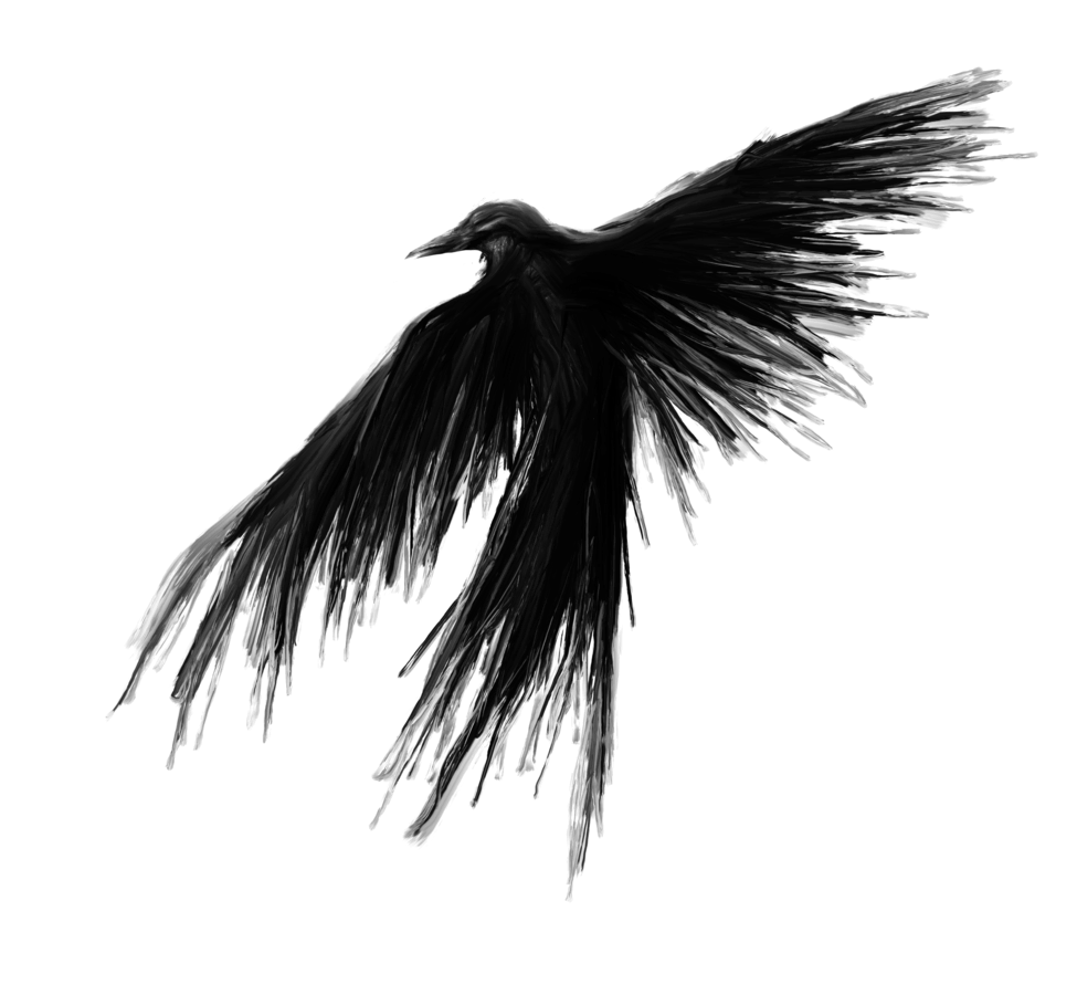 Image posted by the member