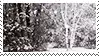 Image posted by the member