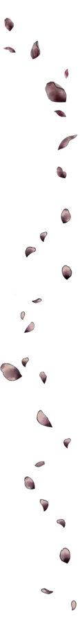 Image posted by the member