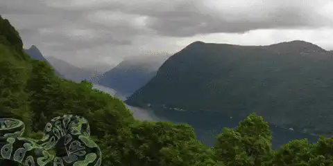 Image posted by the member