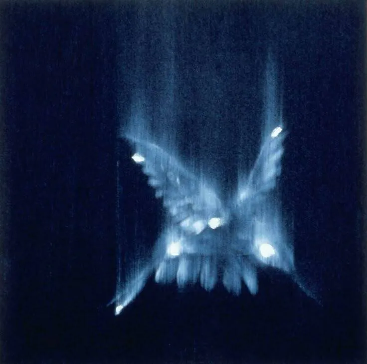 Image posted by the member