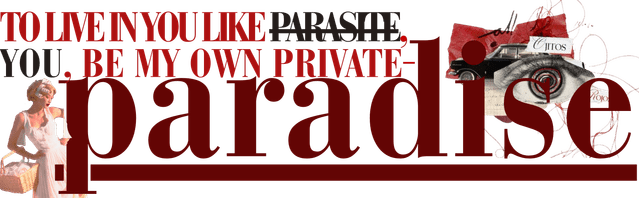 Image posted by the member
