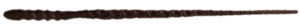 Image posted by the member