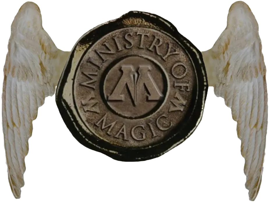 Image posted by the member