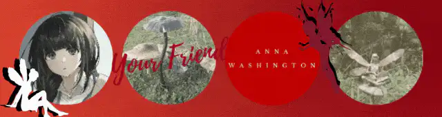 Image posted by the member