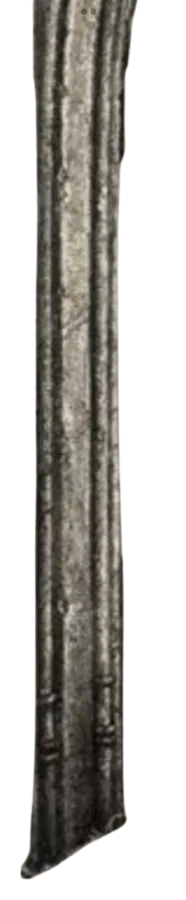 Image posted by the member