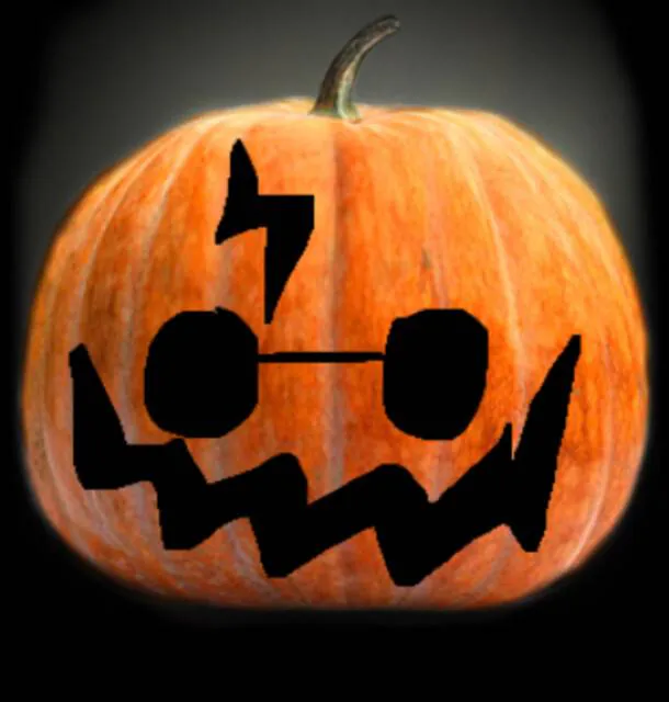 Image posted by the member