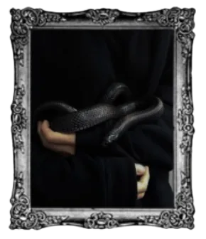 Image posted by the member