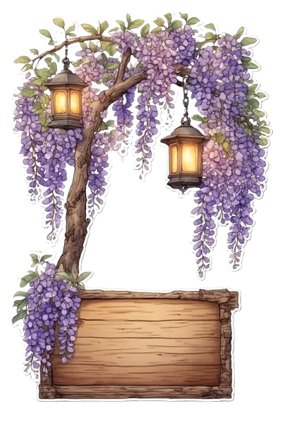 Image posted by the member