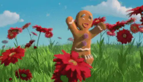 Image posted by the member