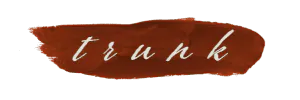 Image posted by the member