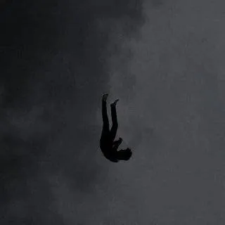 Image posted by the member