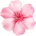 Image posted by the member