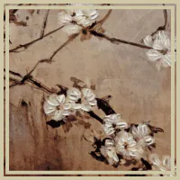 Image posted by the member