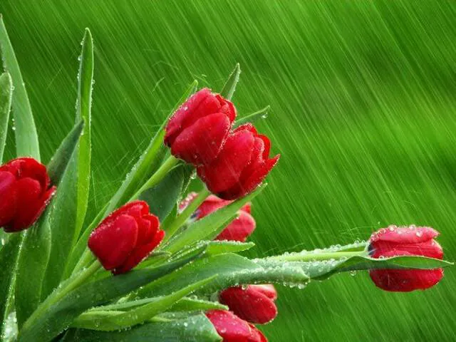 Image posted by the member