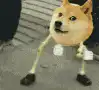 Image posted by the member