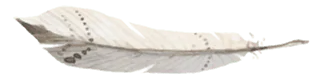 Image posted by the member