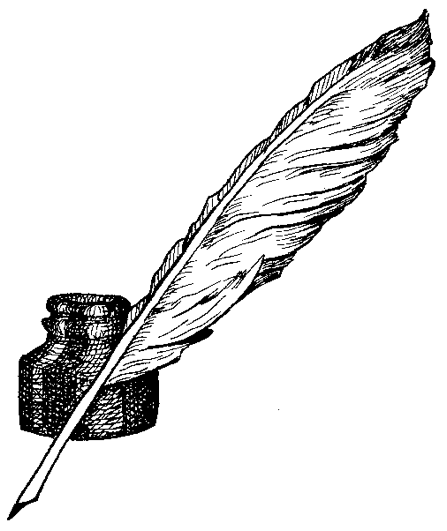 Image posted by the member