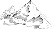 Image posted by the member