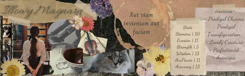 Image posted by the member