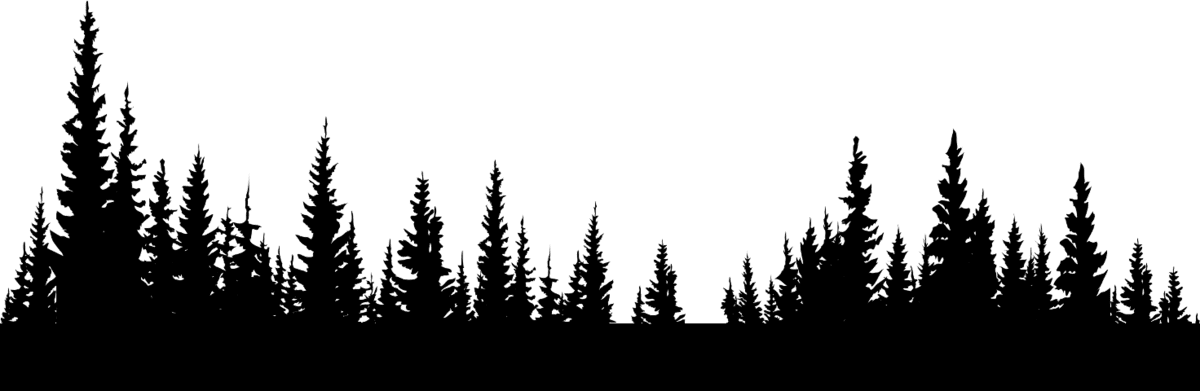 Image posted by the member