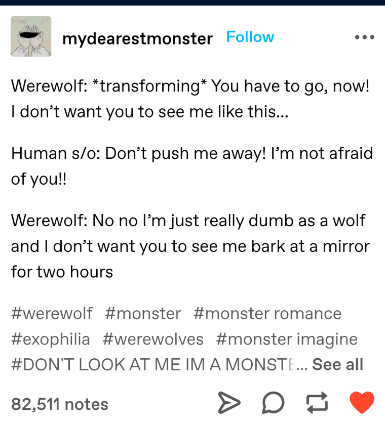 Image posted by the member