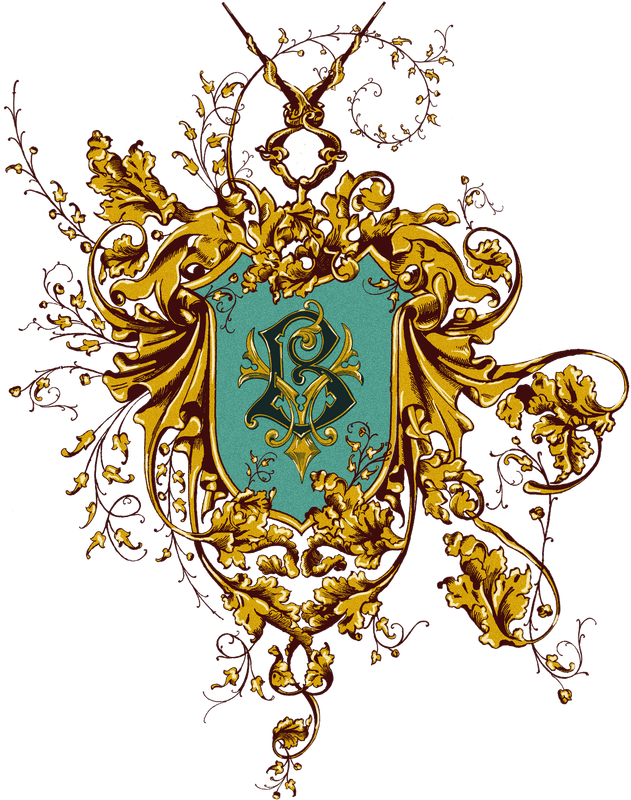 Image posted by the member