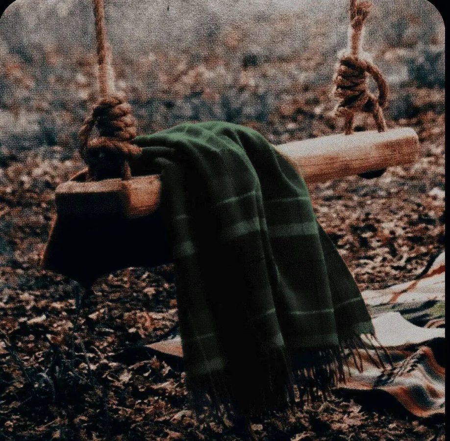 Image posted by the member