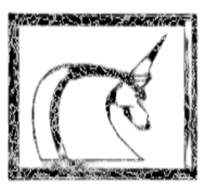Image posted by the member