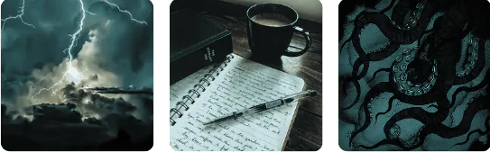 Image posted by the member