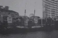 Image posted by the member