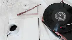 Image posted by the member