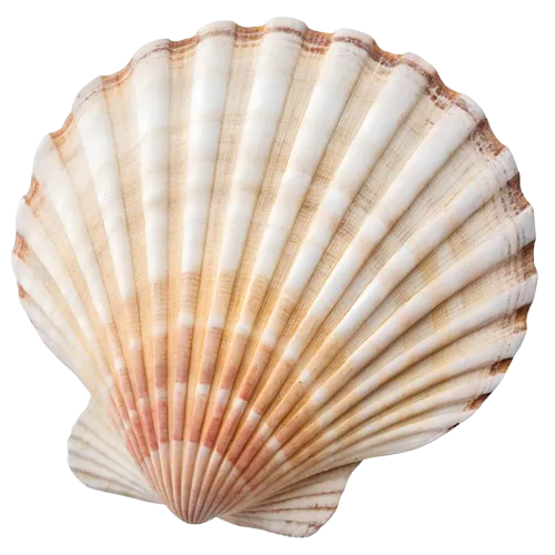 Image posted by the member