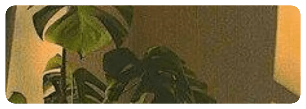 Image posted by the member