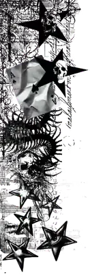 Image posted by the member